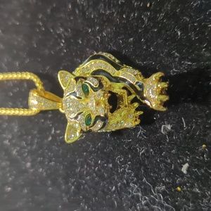 Hip hop tiger and chain